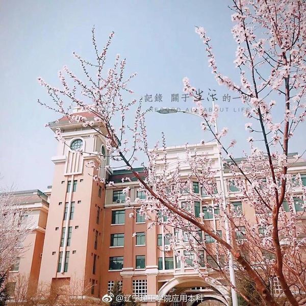 2018年招生简章 - 辽宁理工学院应用技术学院官网